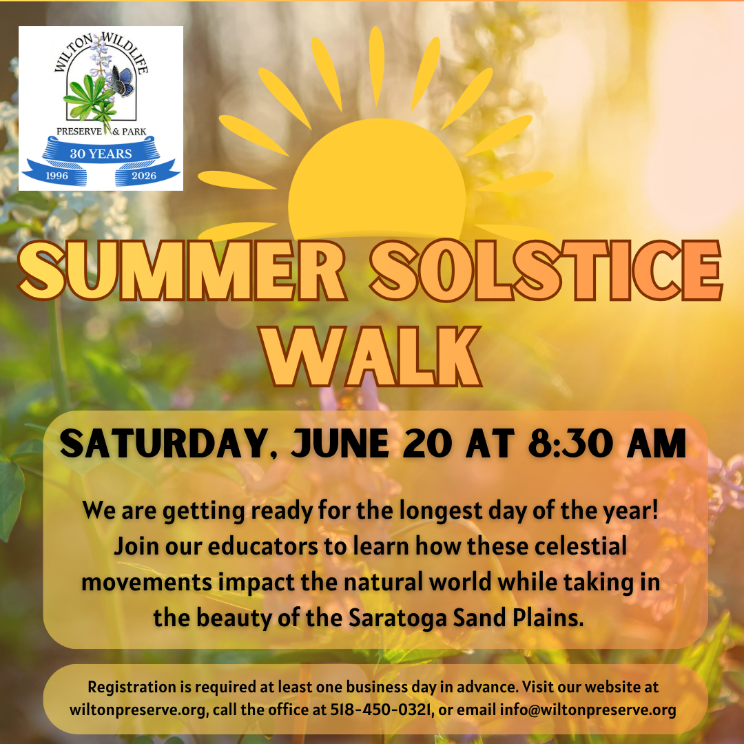 2026 Summer Solstice Walk.png