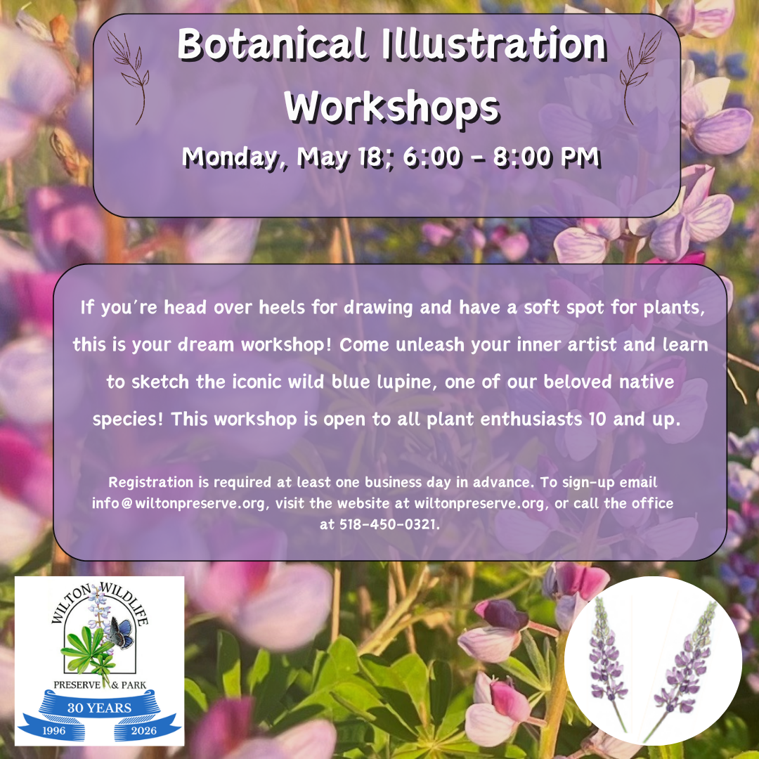 Botanical Illustration Workshop Spring 2026.png