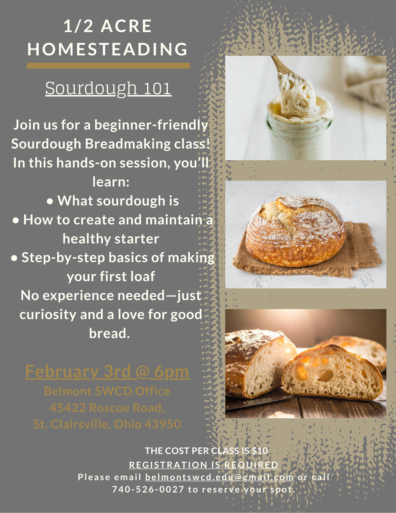 Sourdough 101.png