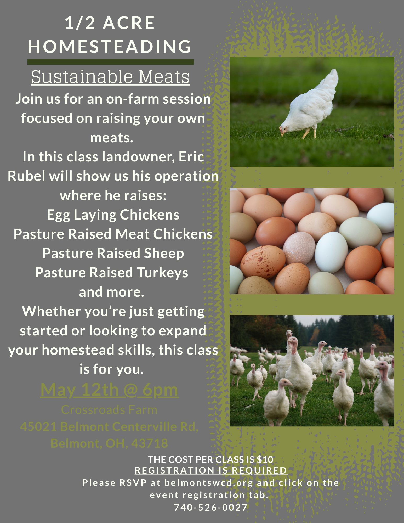 Sustainable Meats.png