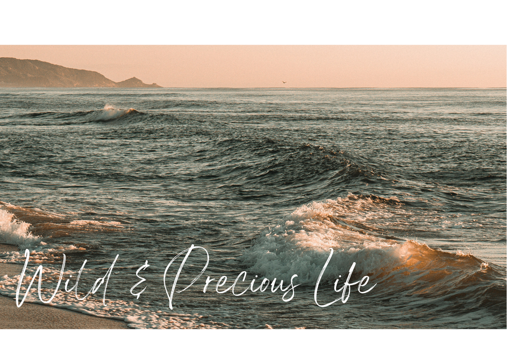 Claire Brejcha South Molton Yoga and Mindfulness