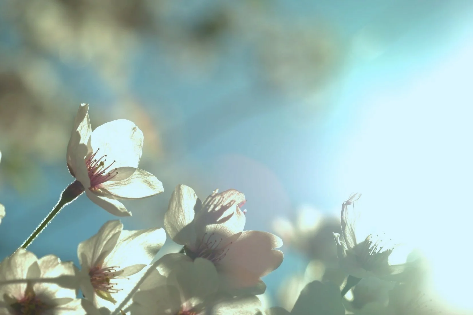 Claire Brejcha South Molton Yoga and Mindfulness