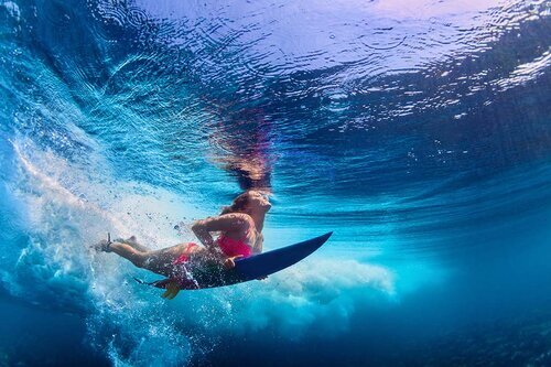 NAPA-Net: Time to Surf the ESG Wave?