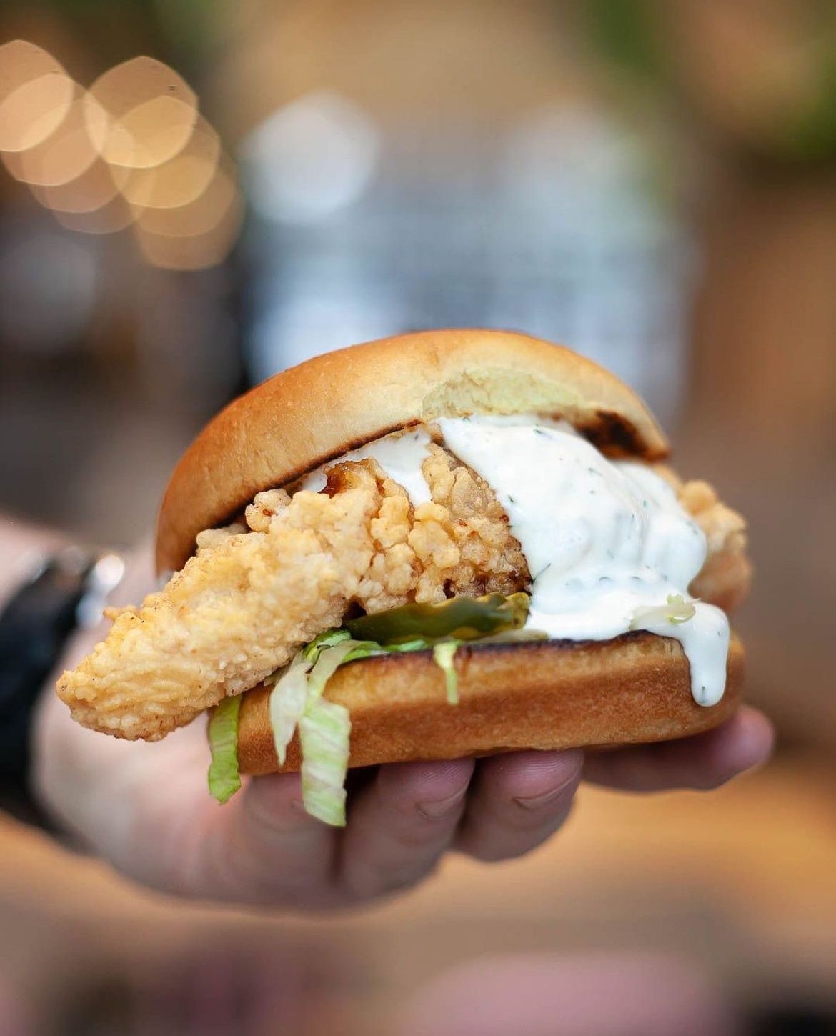 Close-up of a fried chicken sandwich with lettuce, creamy sauce, and pickles in a sandwich bun.