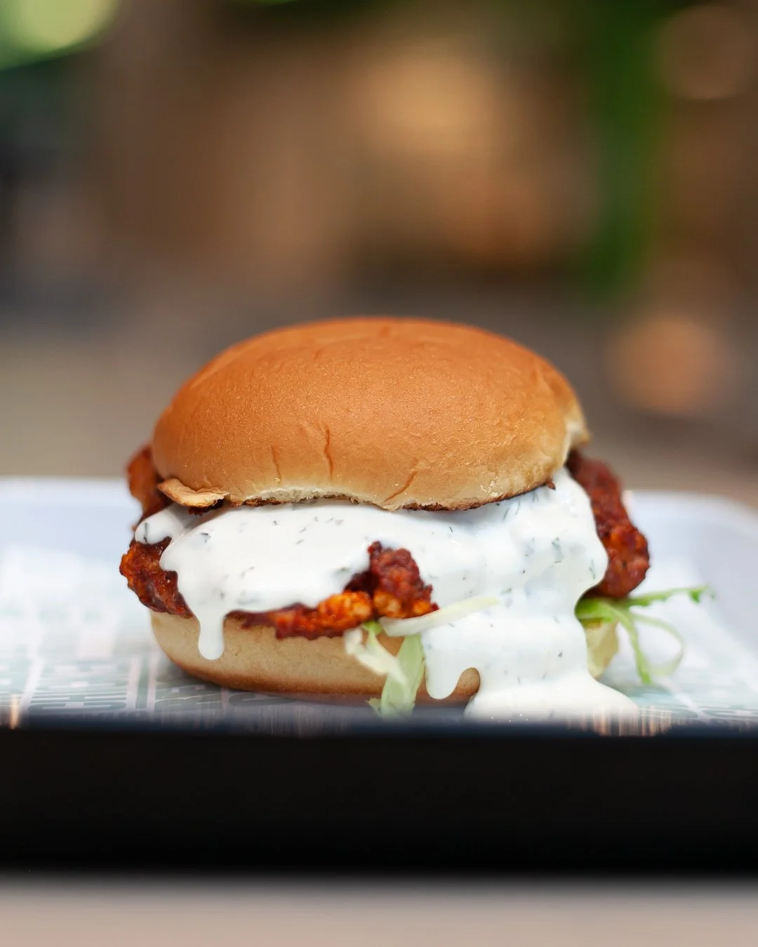 Fried chicken sandwich with lettuce and creamy white sauce in a bun.