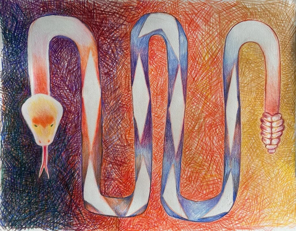 snake drawing 070126.jpg