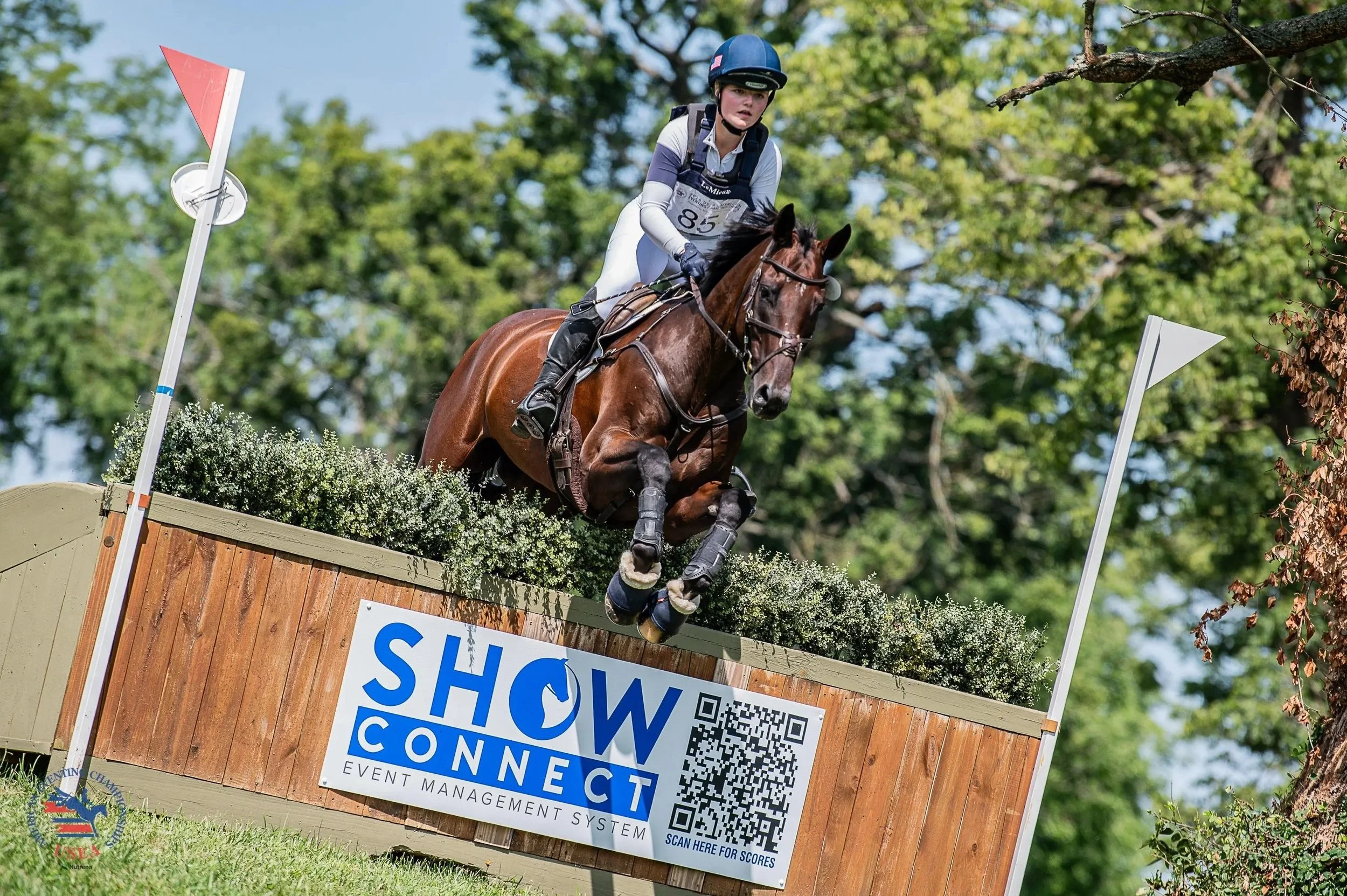 2026 USEA American Eventing Championships Powered by ShowConnect