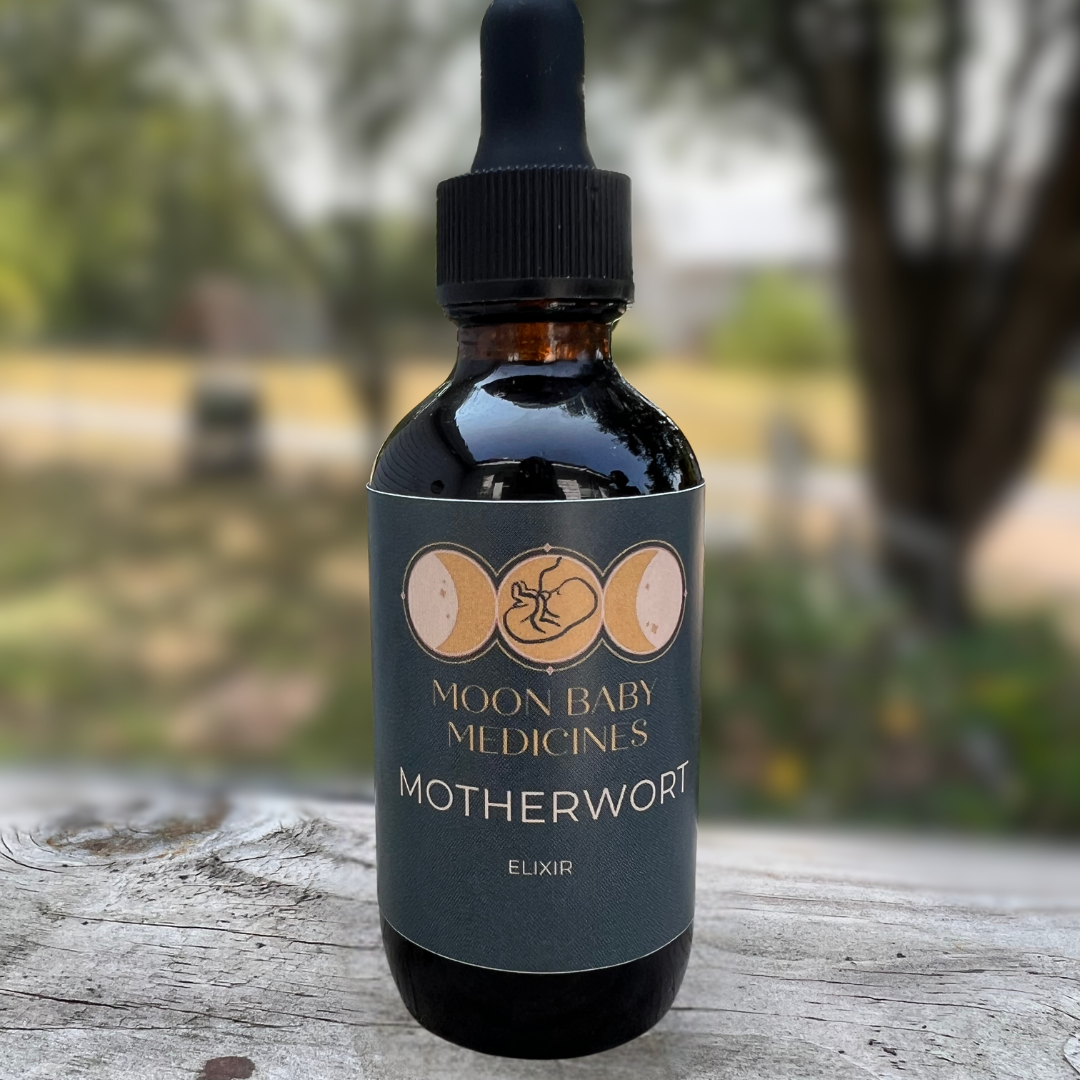 Motherwort-3.png