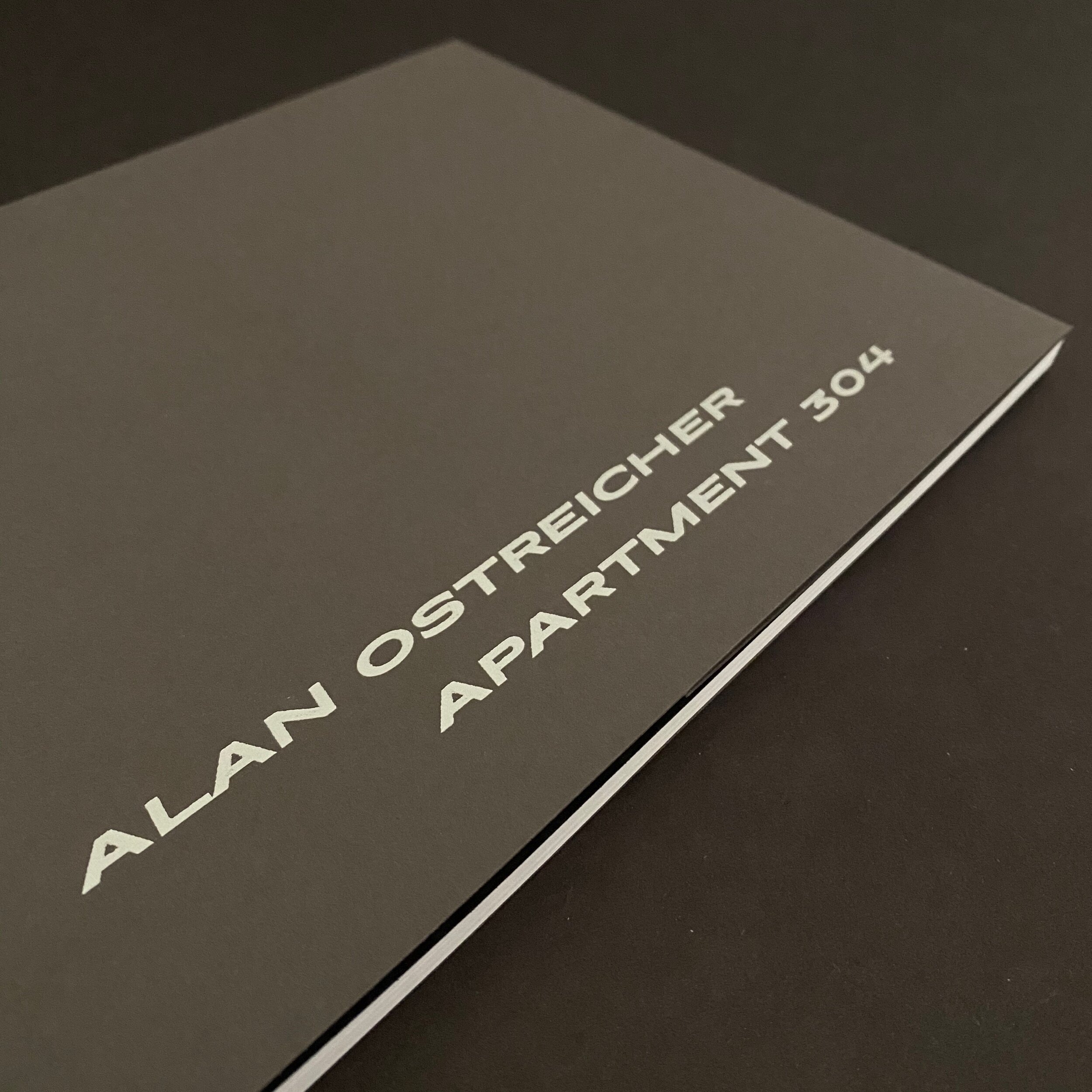Alan+Ostreicher+Apt+304+book.jpg