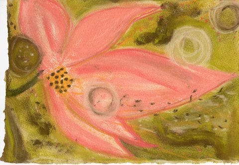 art collector abstract flower painting