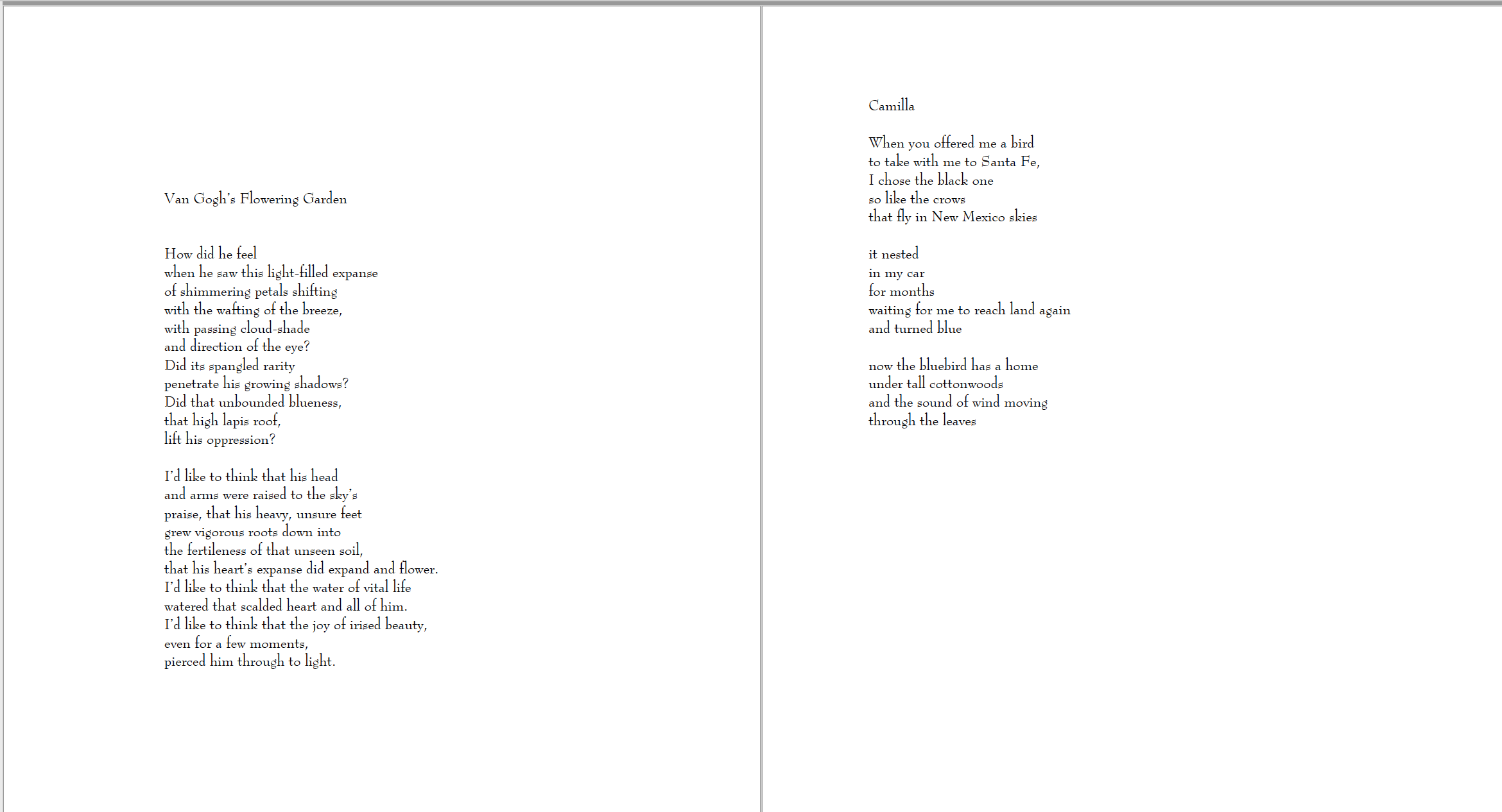 mirror image poetry book sample poems about Van Gogh and nature, poem about a gift from a friend