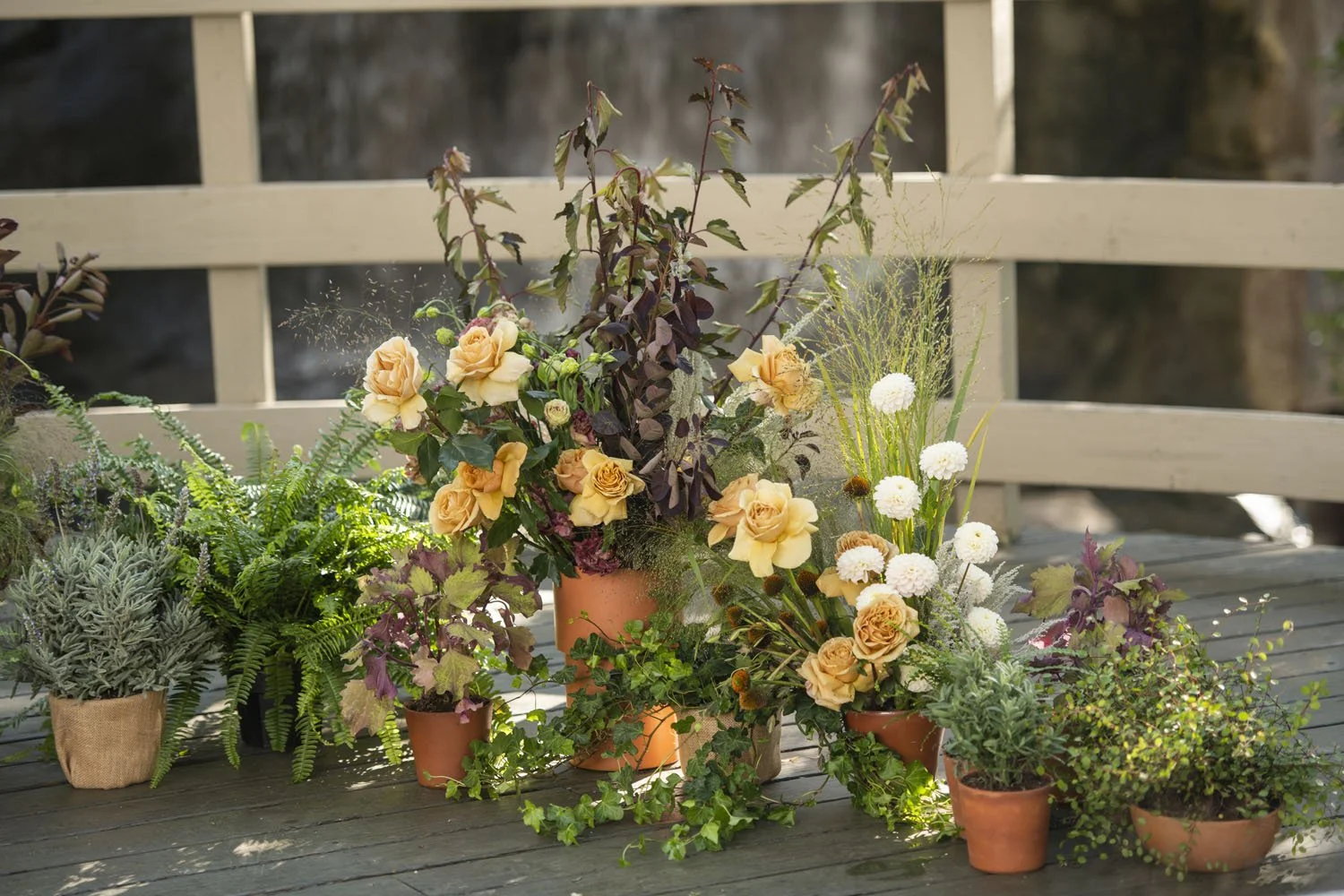 Potted Wedding Ceremony Flowers with Peach Roses and Lush Greenery Arrangement