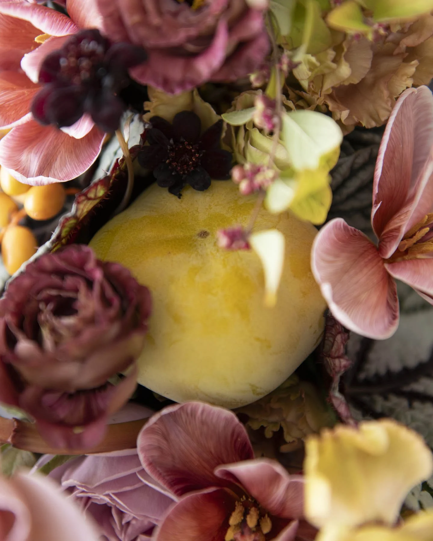 Close-Up of Citrus and Moody Florals in Autumnal Centerpiece