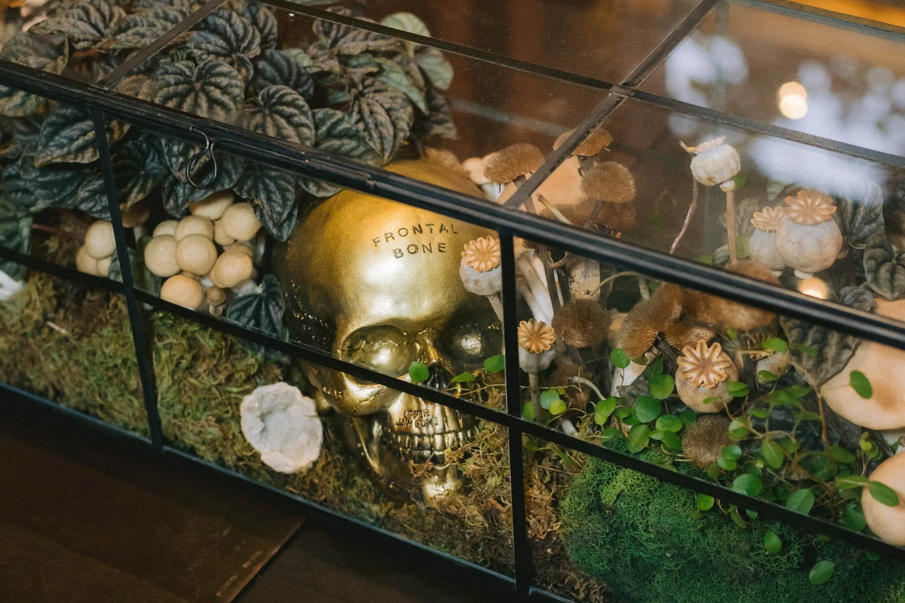 Glass Terrarium with Gold Skull, Mushrooms, and Dried Botanicals