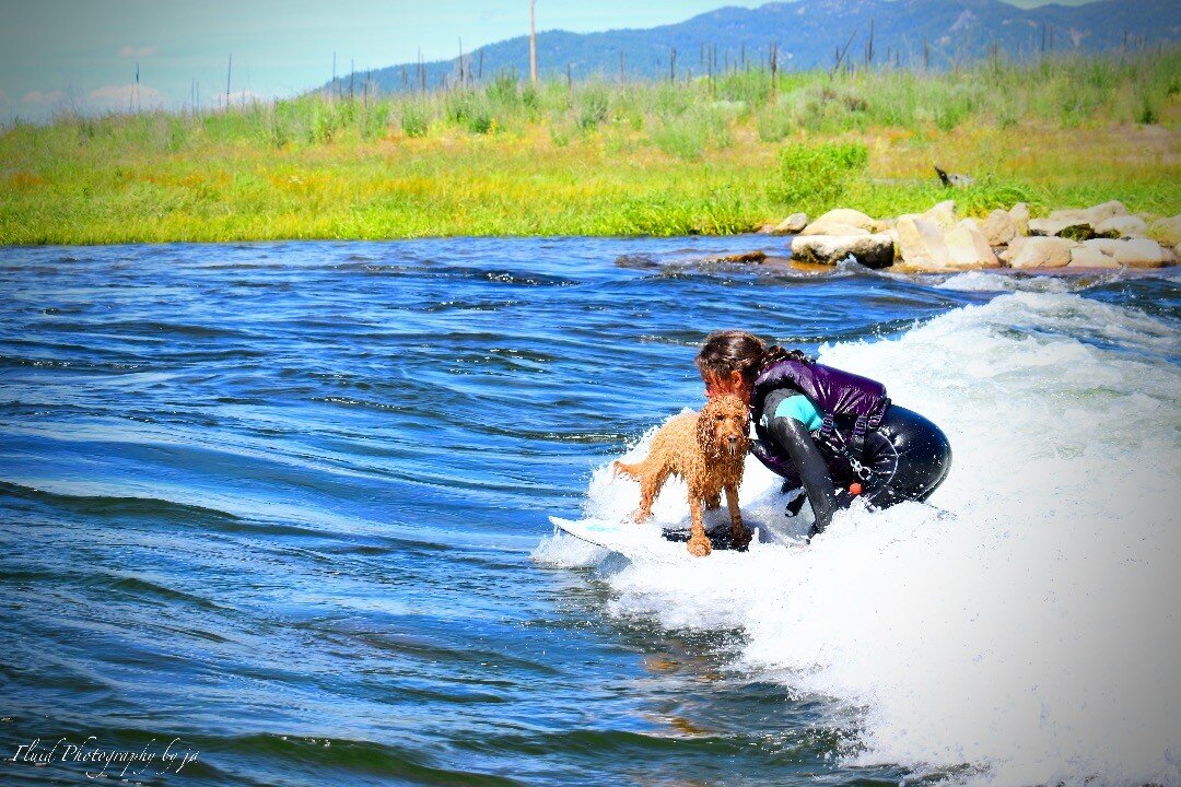 Did someone say surfing party of 2?  This kid shreds alone on any board so when the pup wants on the new challenge is welcome!

#riversurf #kellyswhitewaterpark #hydrusboardtech #payetteriver #idahorivers #kidsurfer #dogsurfing #tandemsurf #riverfun 