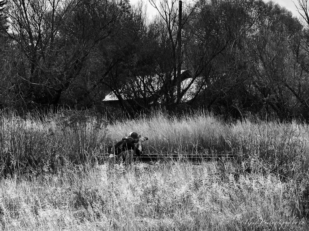 Co-founder of Fluid Photography @sarge6531 is willing to do whatever it takes to get an image that reflects what you feel. 

#outdoorphotography #photographer #photography #blackandwhitephoto #portraits #wildlife #outdoors #reflections #goingtheextra