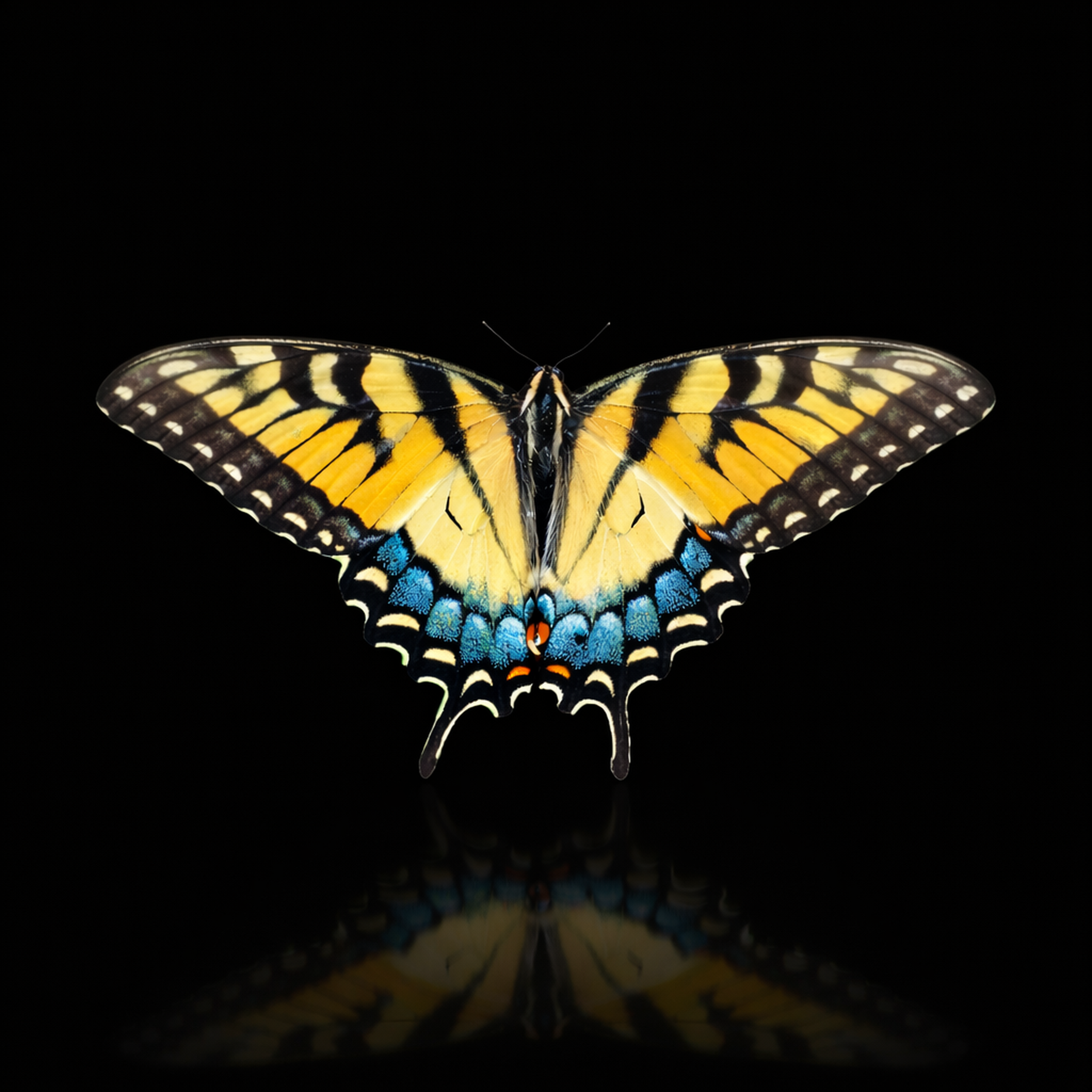 IMG_2630.png