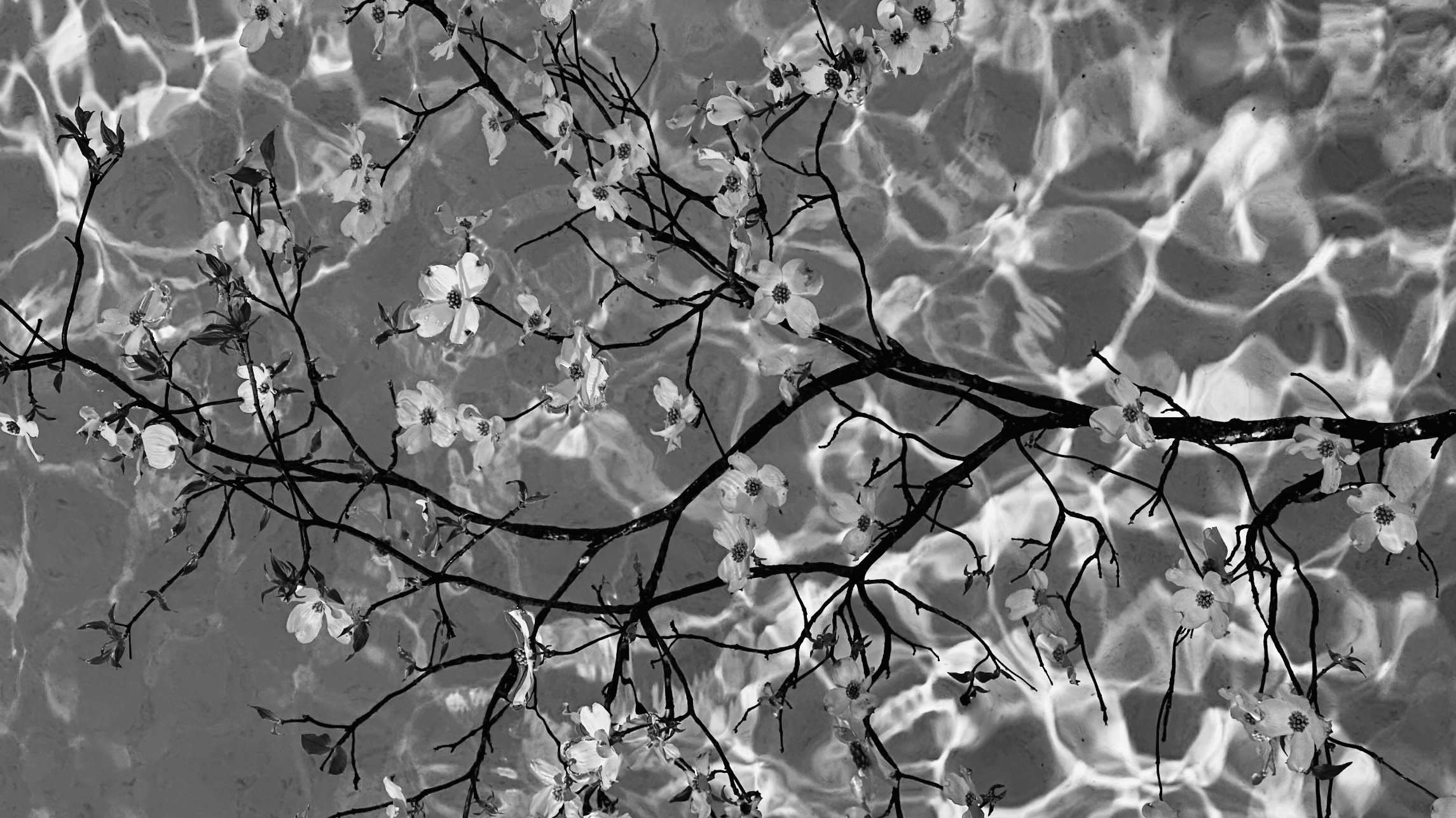 388F7B52-D07A-48E4-9759-5ED67051B45B.jpeg