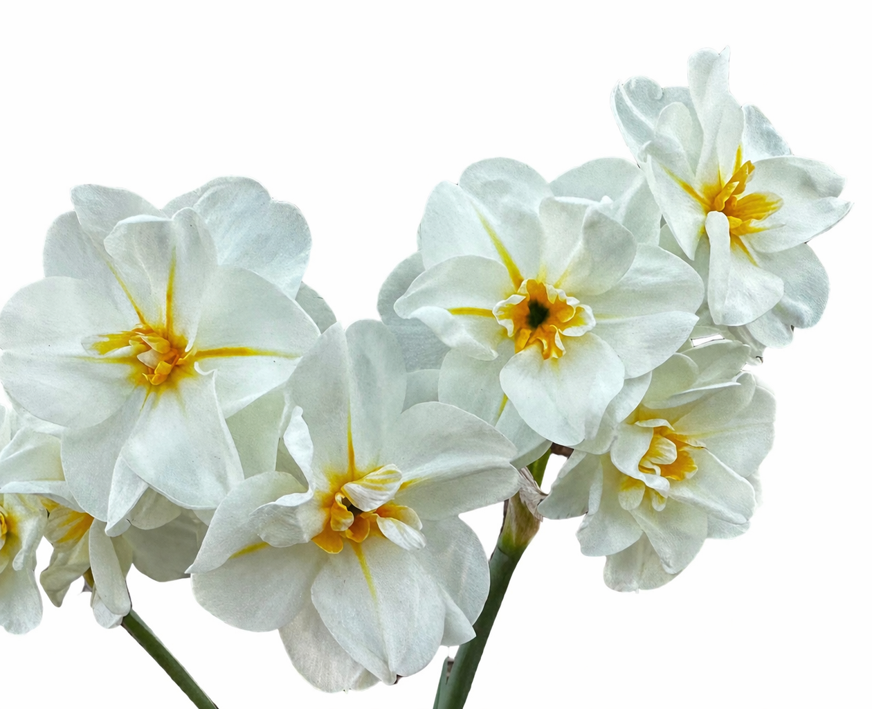 54D7A846-45CF-4188-AB48-615FC0B8C15E.png