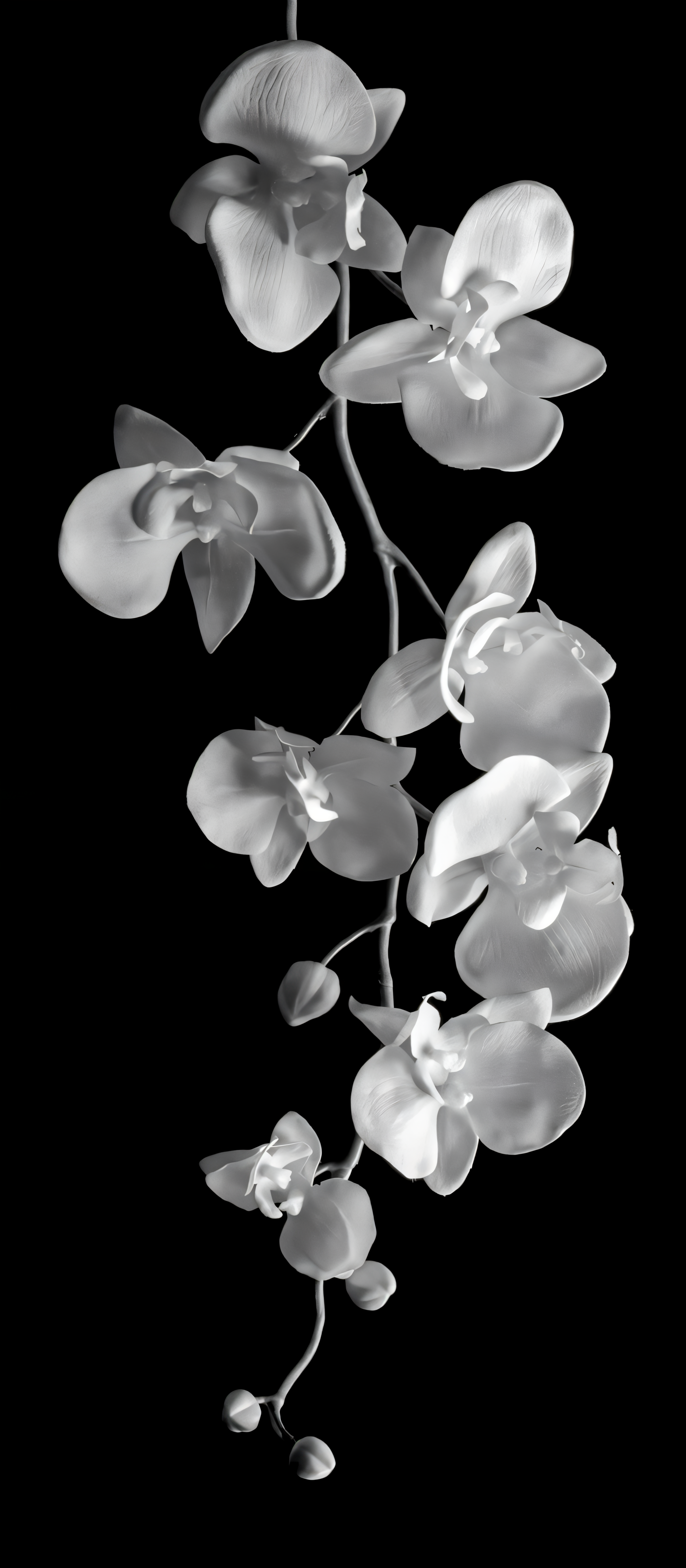 IMG_8644.png