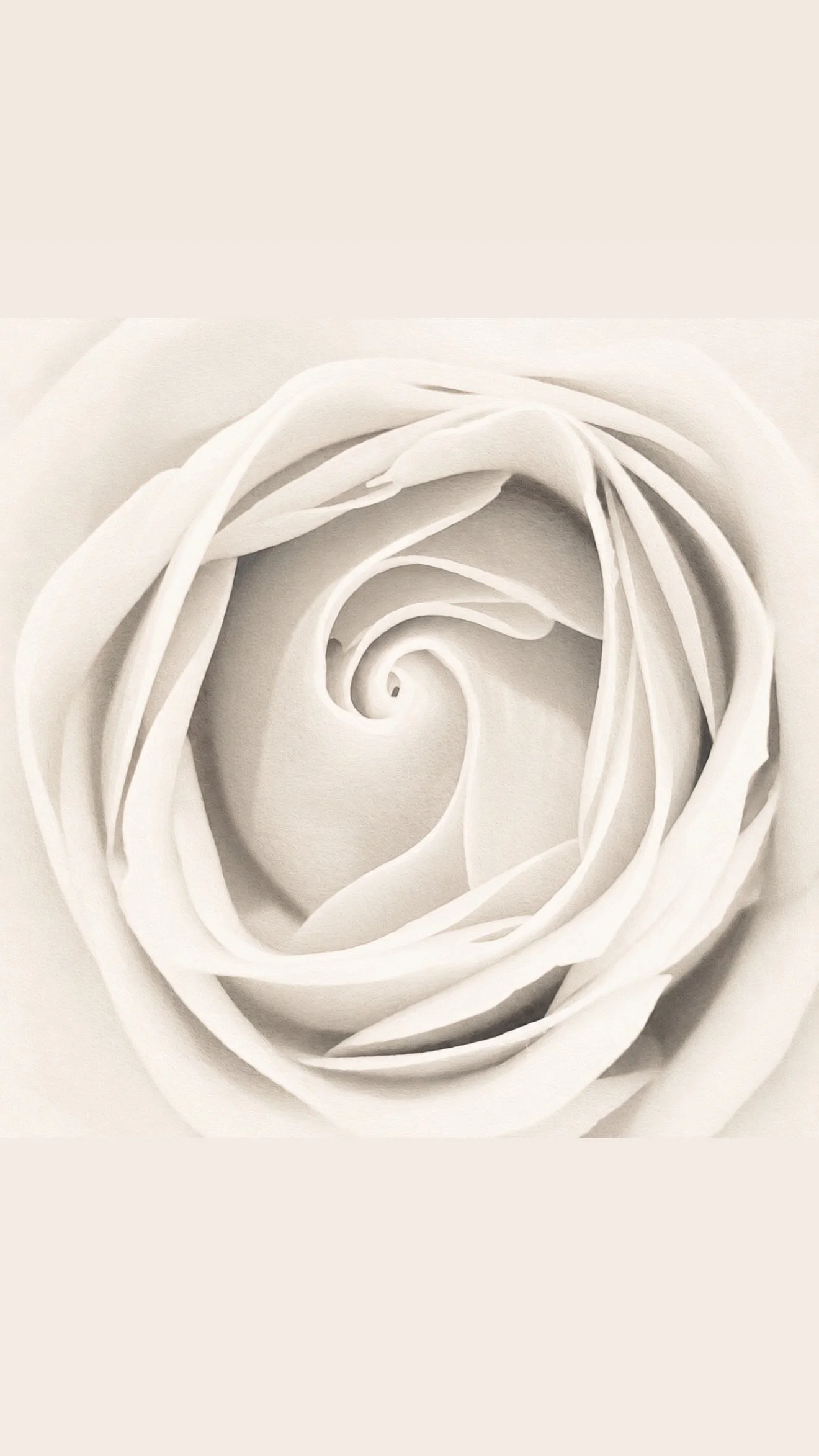 5A55545D-4A92-4B1F-BA3C-01CFE68EA010.jpeg