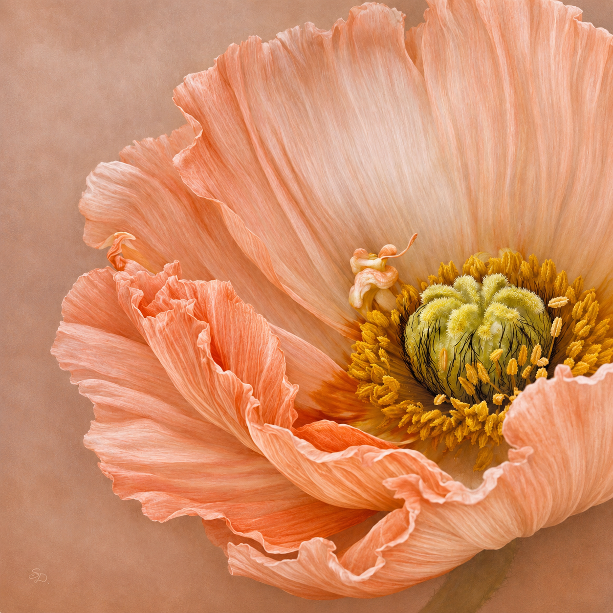 FD1D47D9-46E6-4799-99FD-155A73A6A68C.png
