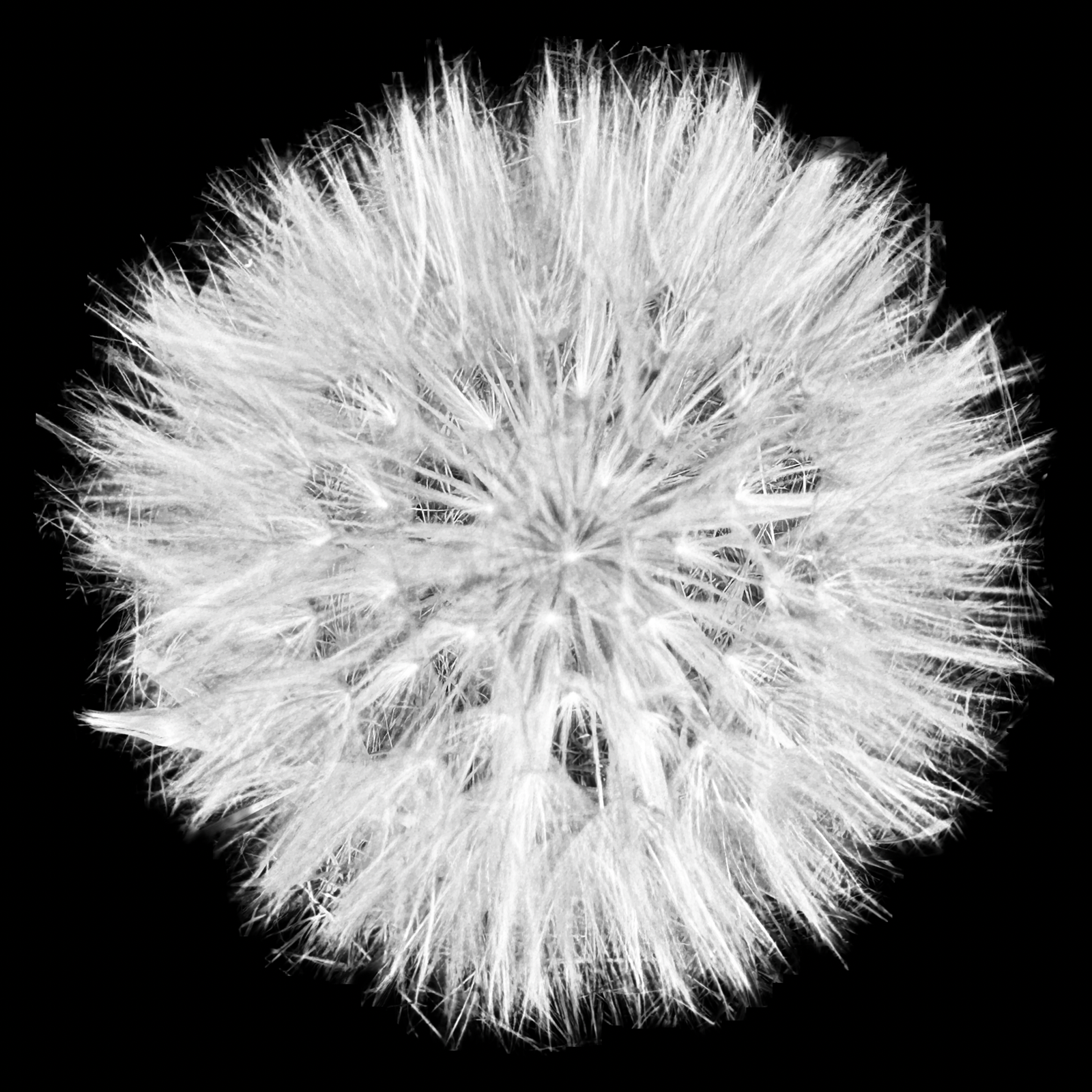 IMG_5795.png