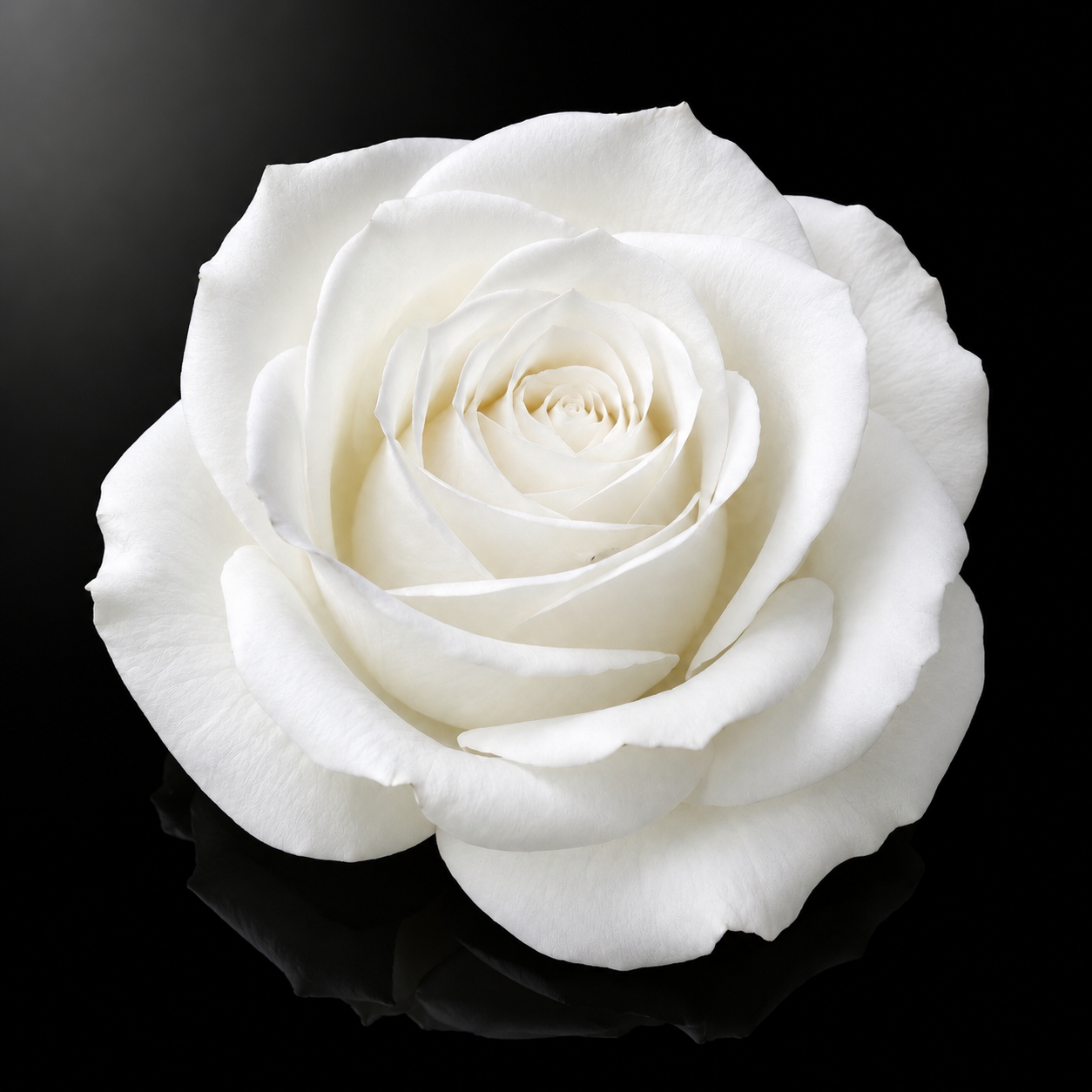 381C0ACD-2B04-4F55-A1A3-064F9A956A1F.png