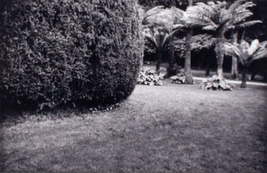Topiary Grove