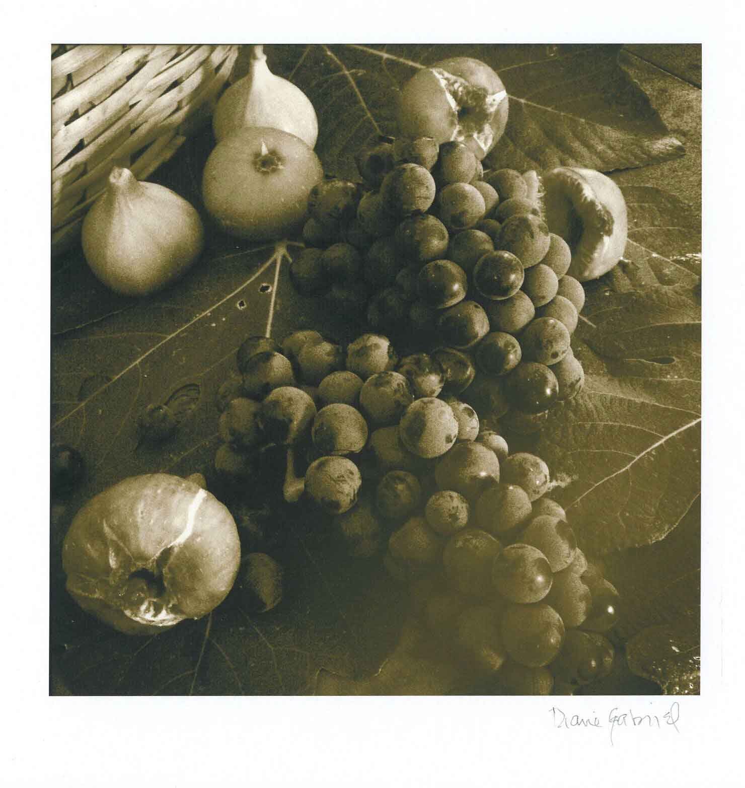 Figs and Grapes
