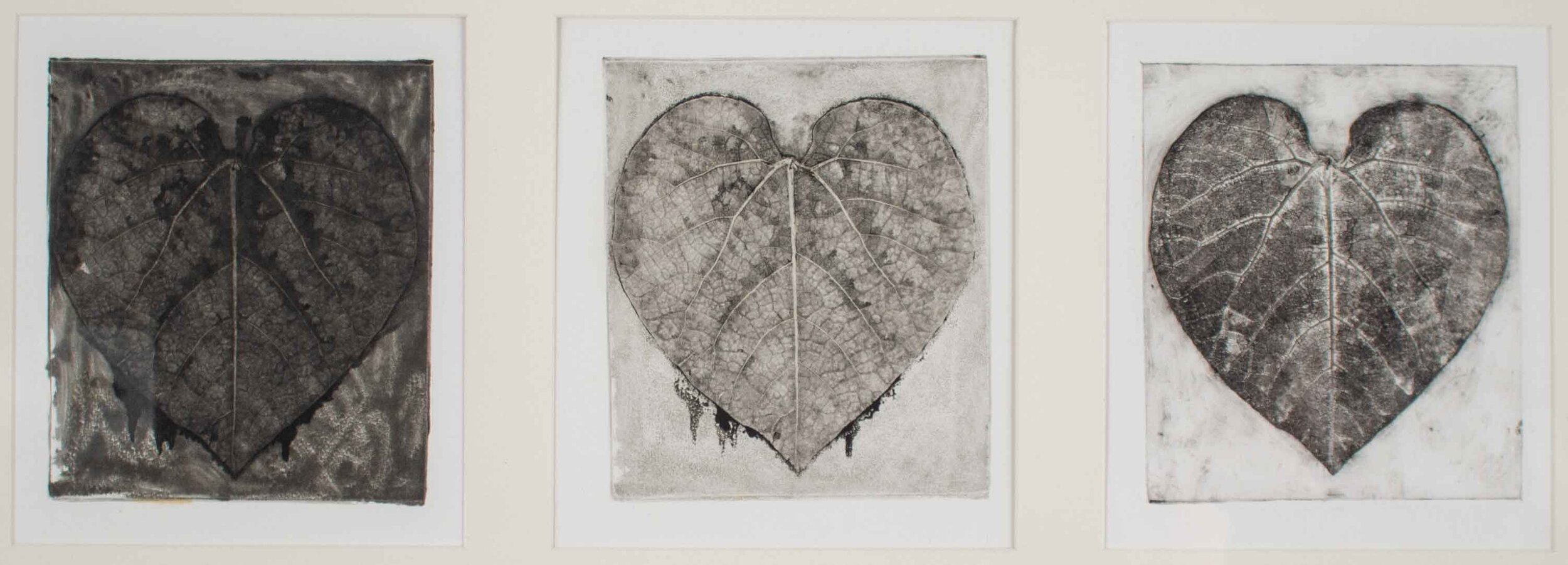 Untitled (3 Leaf Prints)