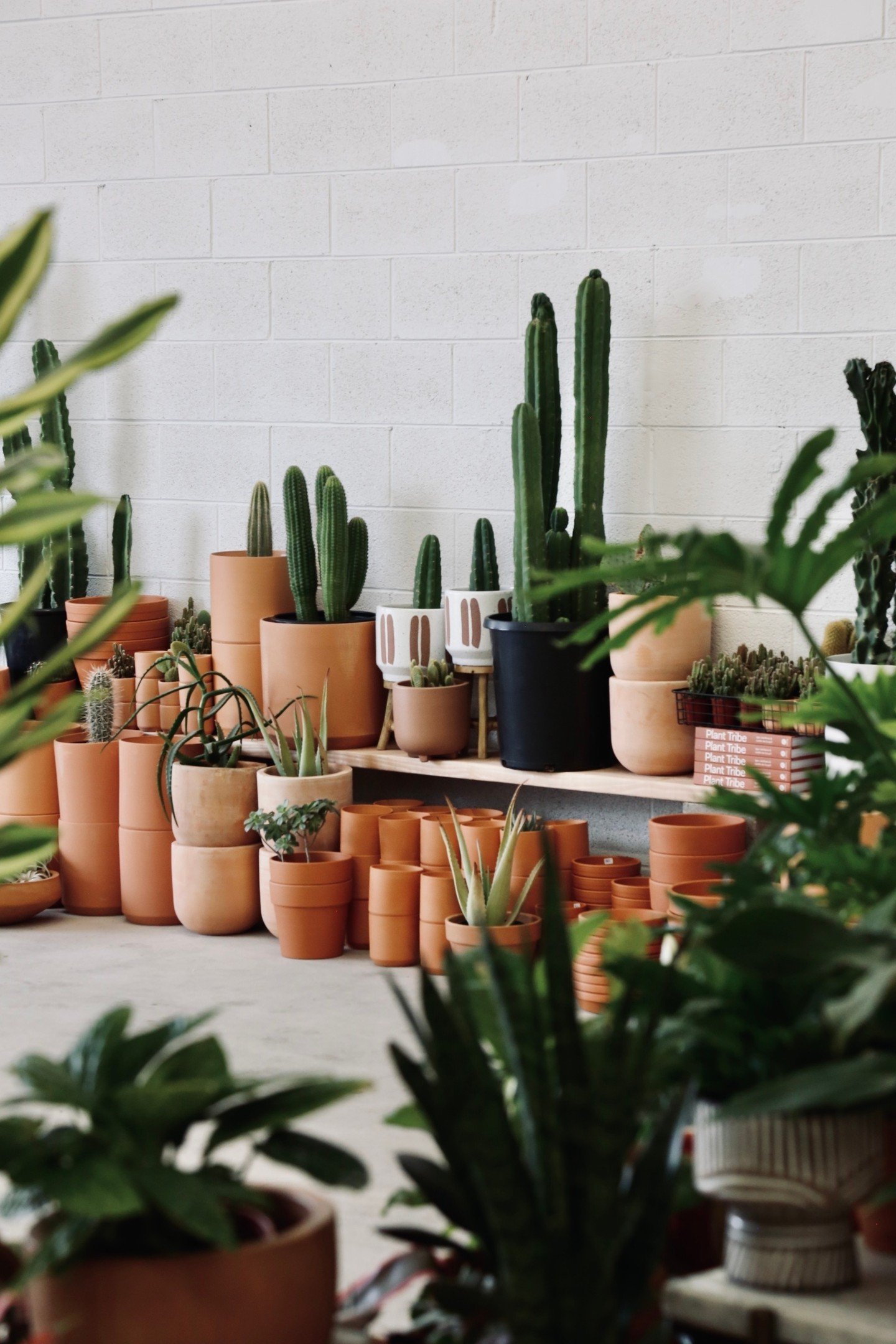 We have officially moved into our NEW location located at 749 Ten Mile Drive. We will be doing all of the same things with 10x more plants! Stop in to say hi and see the new, gorgeous space. 

📸:// @kkatiekelly

#coloradoflorist #coloradomountainflo