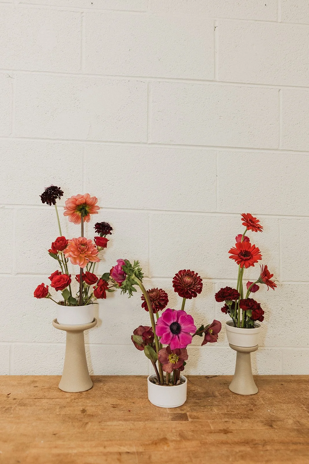 FOR THE MINIS, x3 - $135