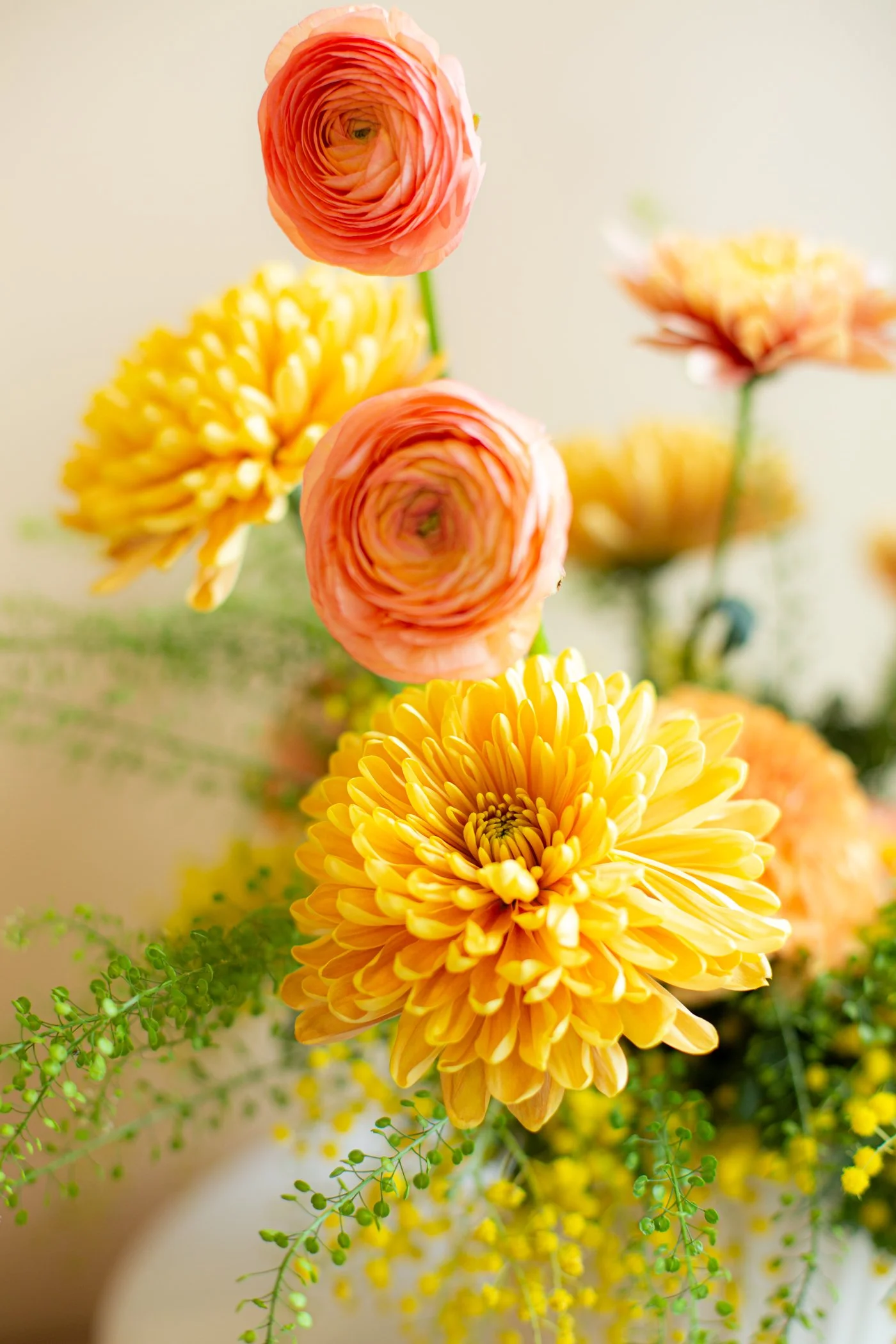 One Year Subscription