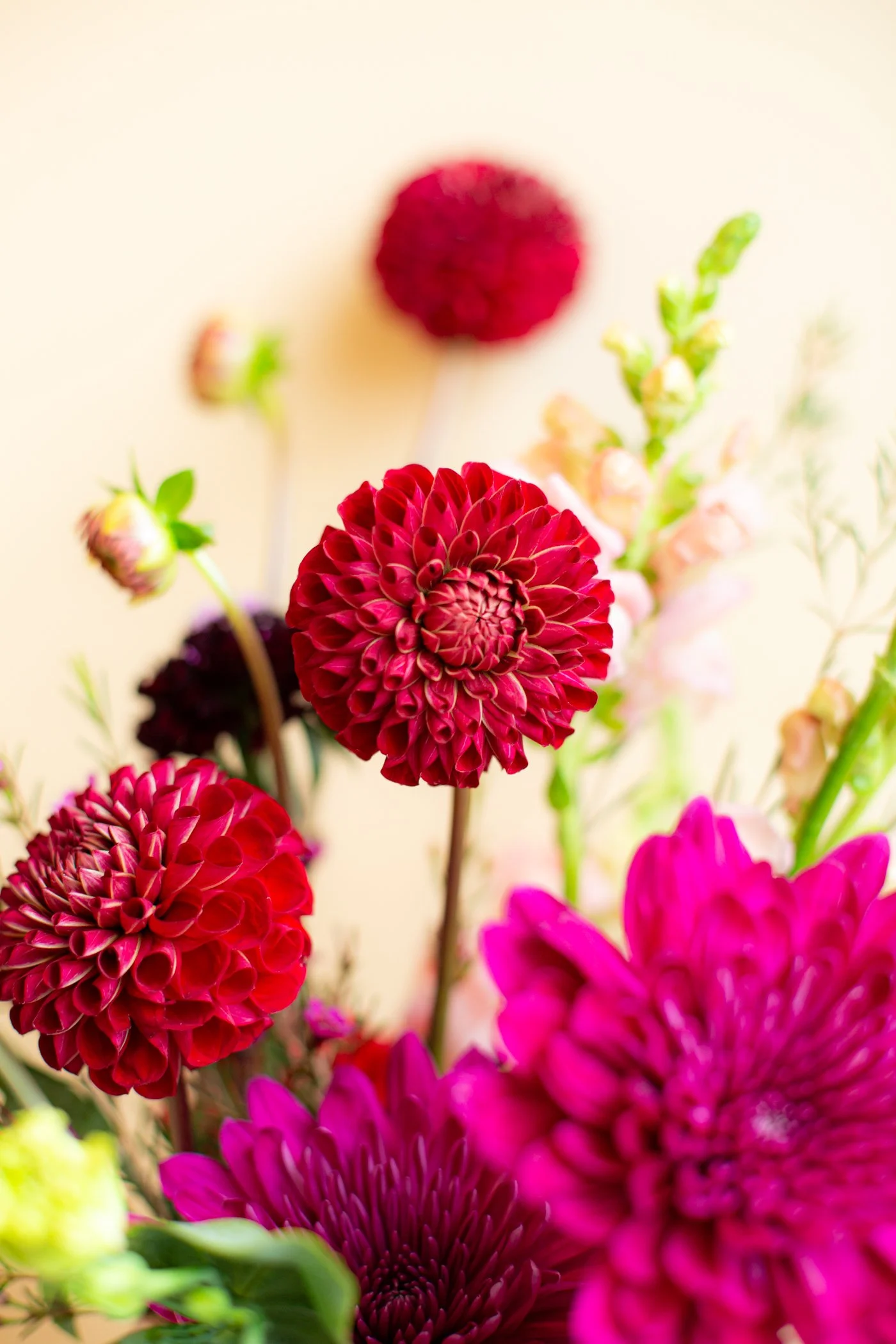 Six Month Subscription