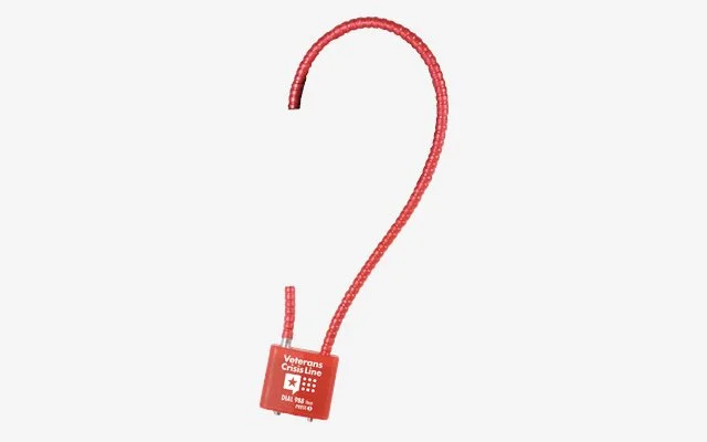 Cable Gun Locks