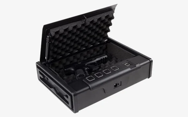 Biometric Gun Cases