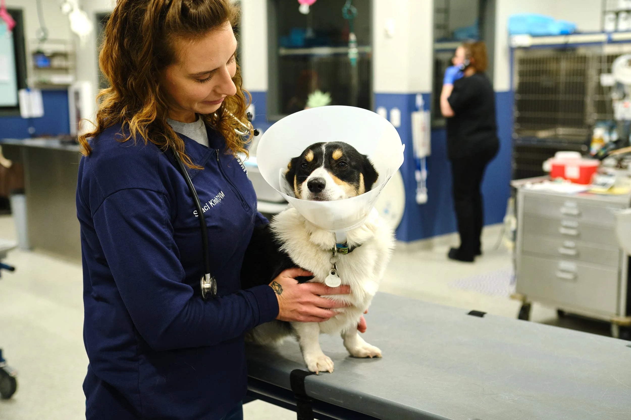Emergency Veterinary Care Centers