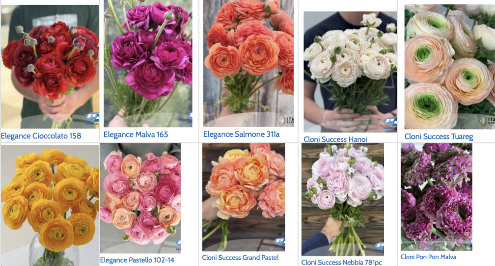 Screenshot 2025-11-19 at 9.37.30 PM.png