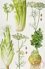 Stuffed Celery with Blue Cheese Mousse a la Musso and Frank