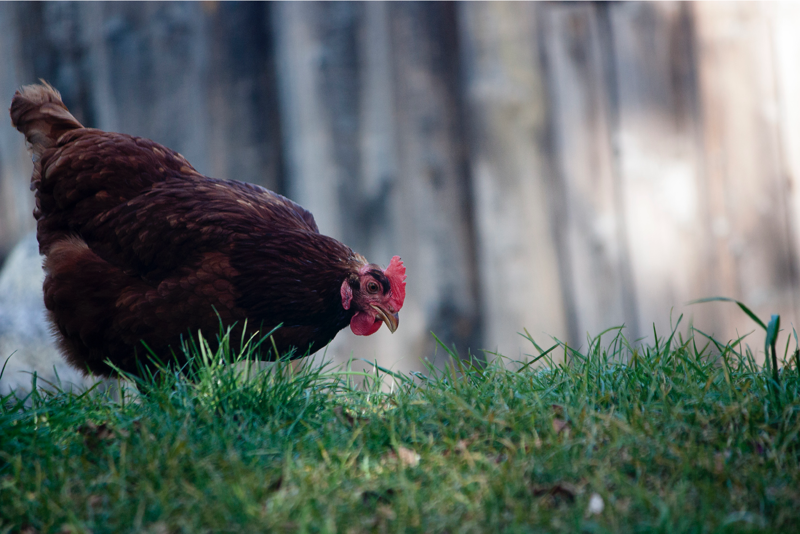 Screen Shot 2021-05-09 at 1.14.05 PM.png