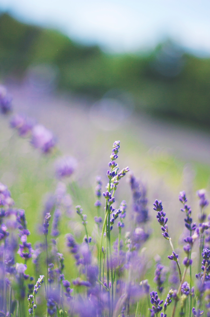 Screen Shot 2021-05-09 at 1.20.20 PM.png