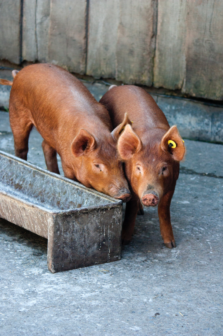 Screen Shot 2021-05-09 at 1.19.12 PM.png