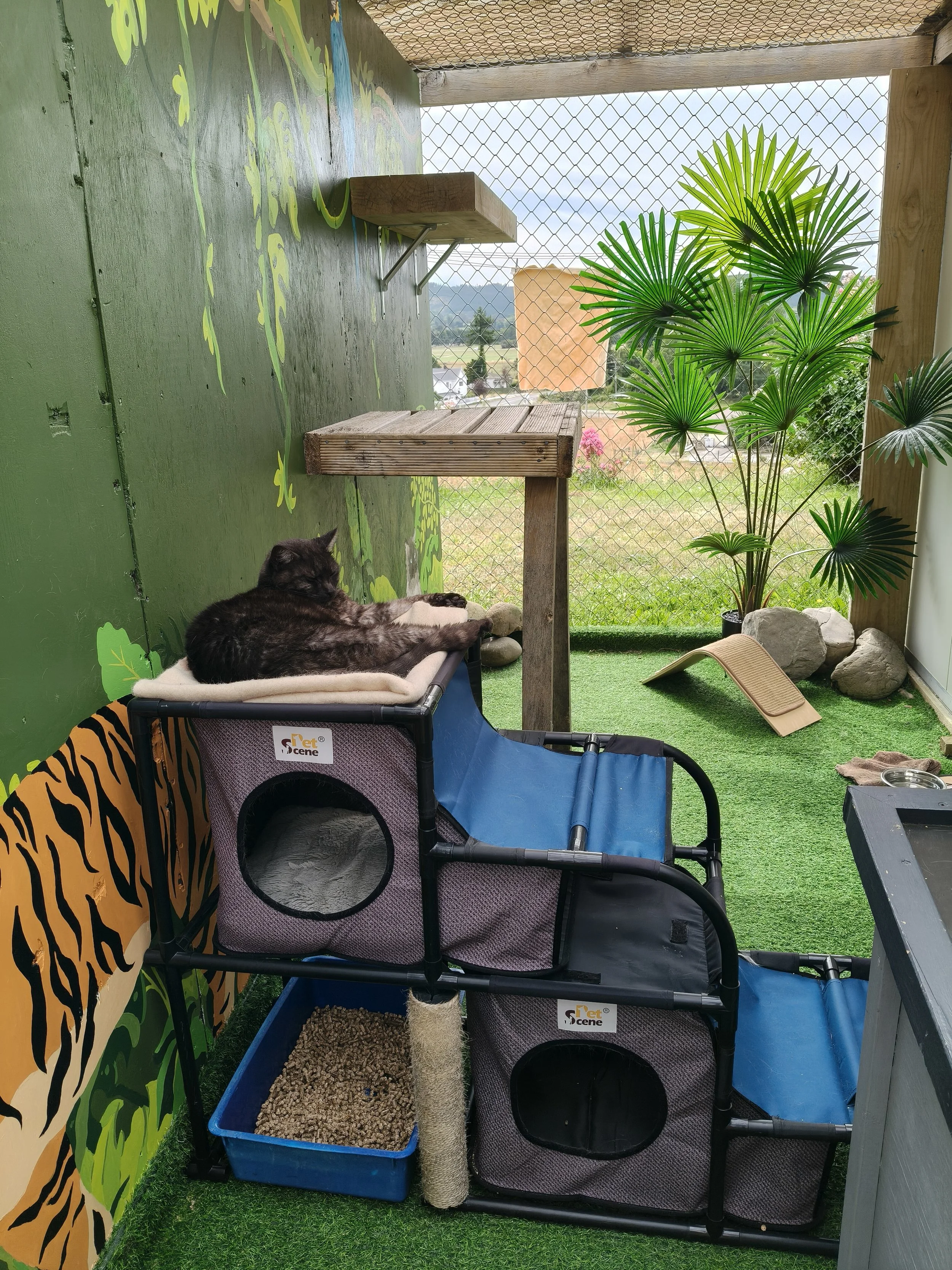 IMG20260105163320 (1).jpg