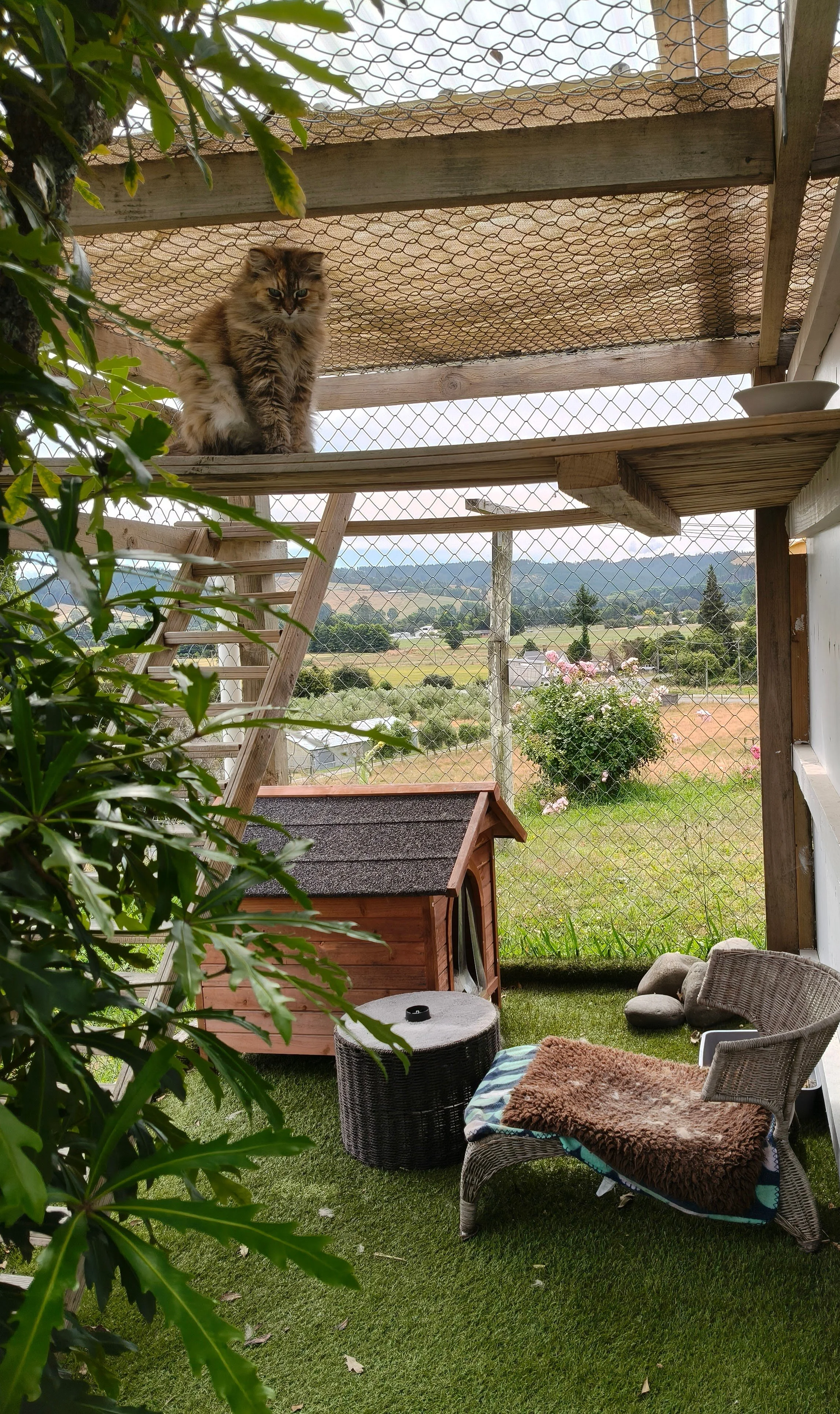 IMG20260105163301 (1).jpg