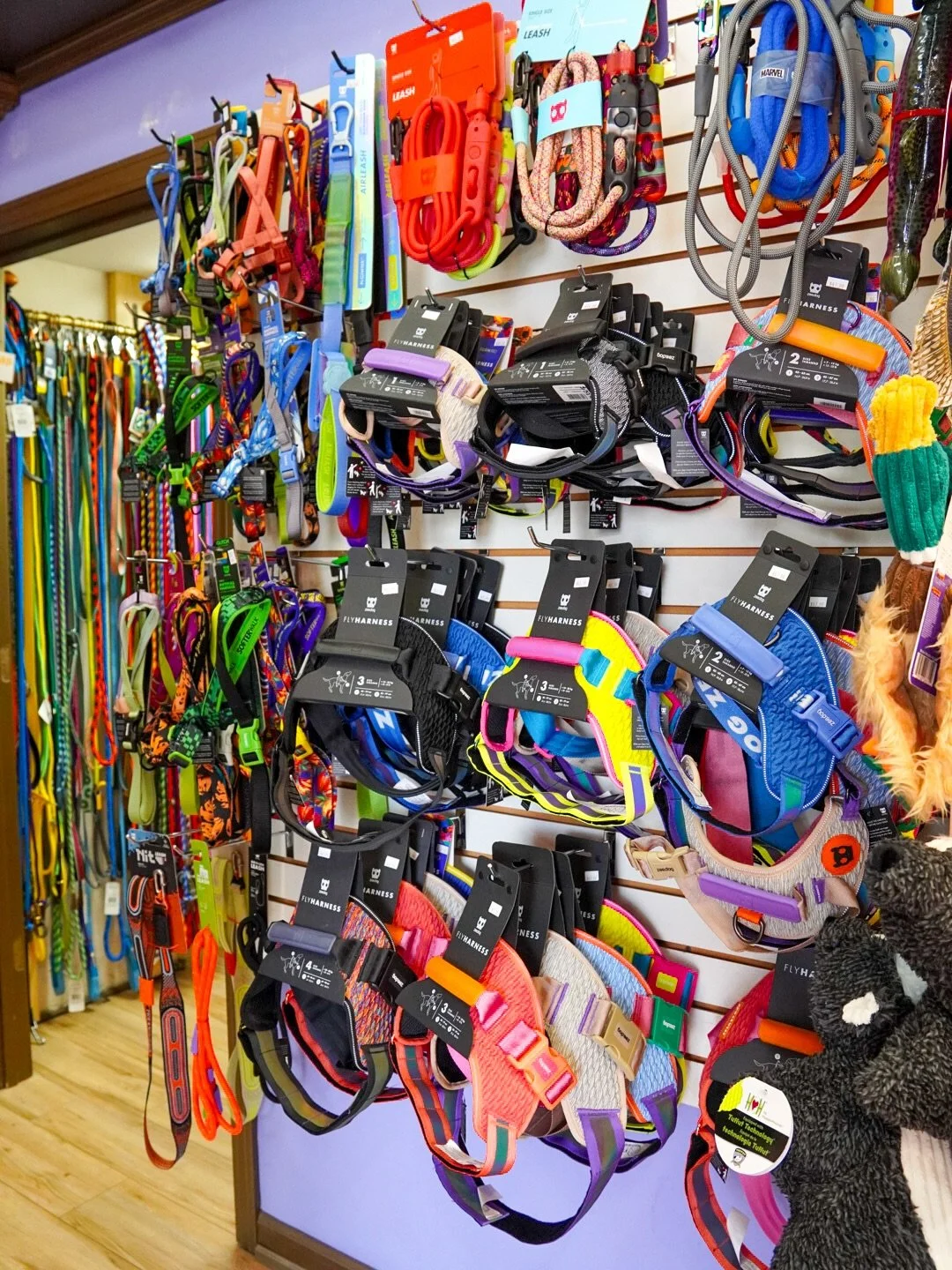 Employee pick of the week: Sam&rsquo;s favorite, Zee Dog harnesses!
These harnesses are sleek, simple to use, and come with a handy handle for those &ldquo;just in case&rdquo; moments. Check out the new Zeedog x Farm Rio designs! 🐾