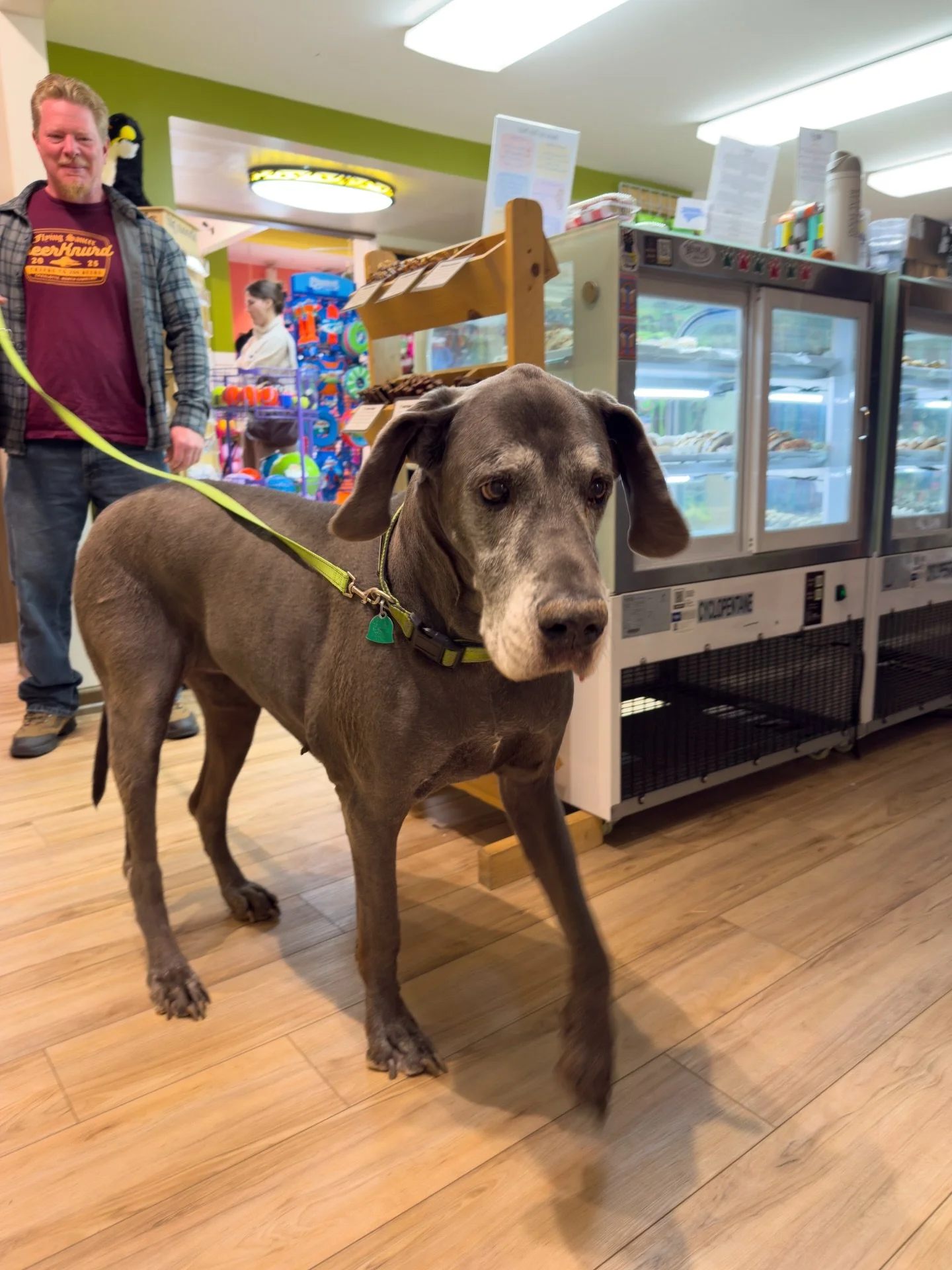 It seems as though our dog decoration outside the store came to life! 🦴 We had the joy of a Great Dane visiting our store. Meeting your furry friends always makes our day!
