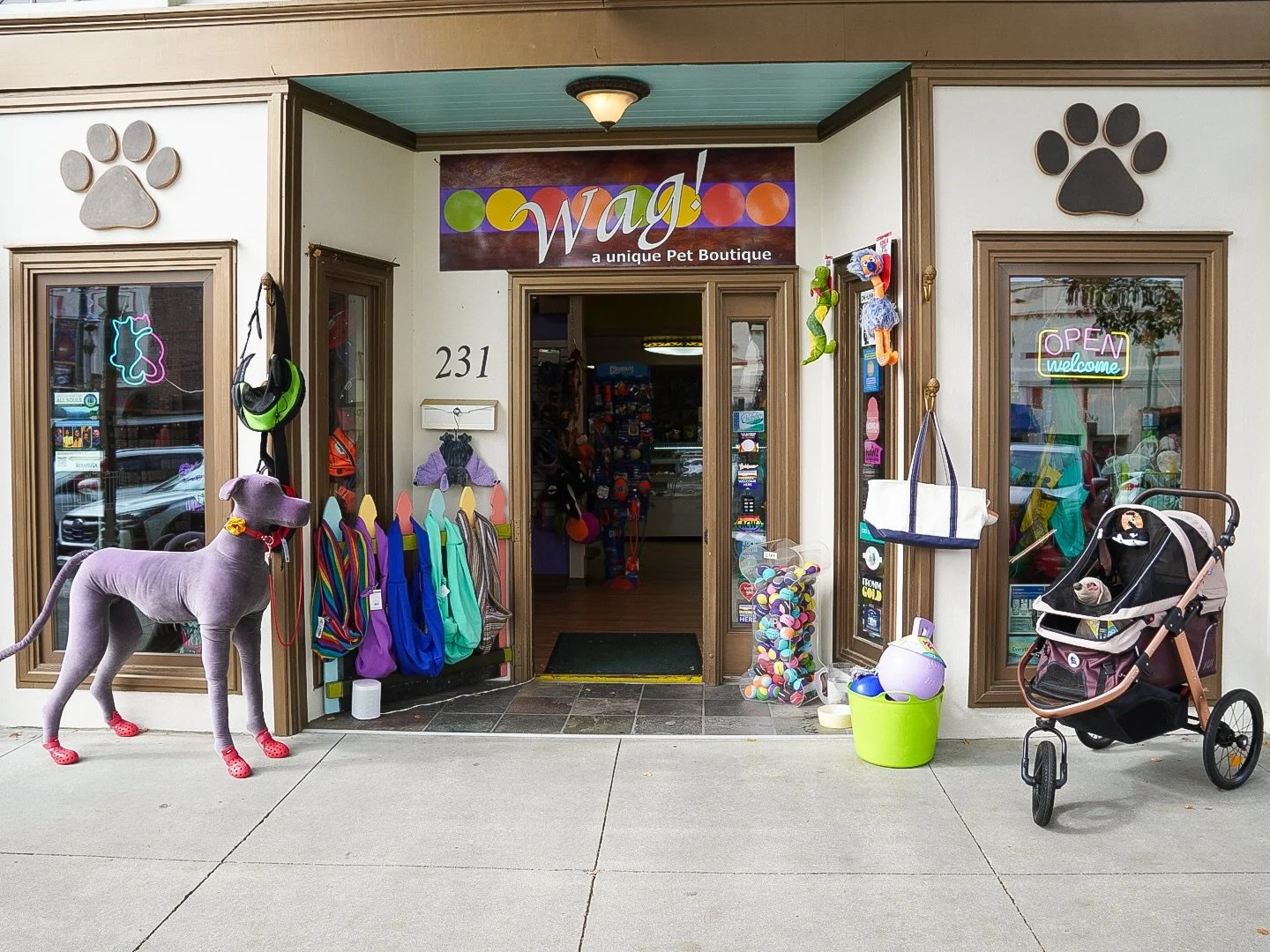 Happy Thanksgiving from the Wag Team! 🐾

We have so much to be grateful for this year. Being part of a community like ours and seeing our customers care so lovingly for their pets truly makes our hearts full. Whether it&rsquo;s asking questions abou