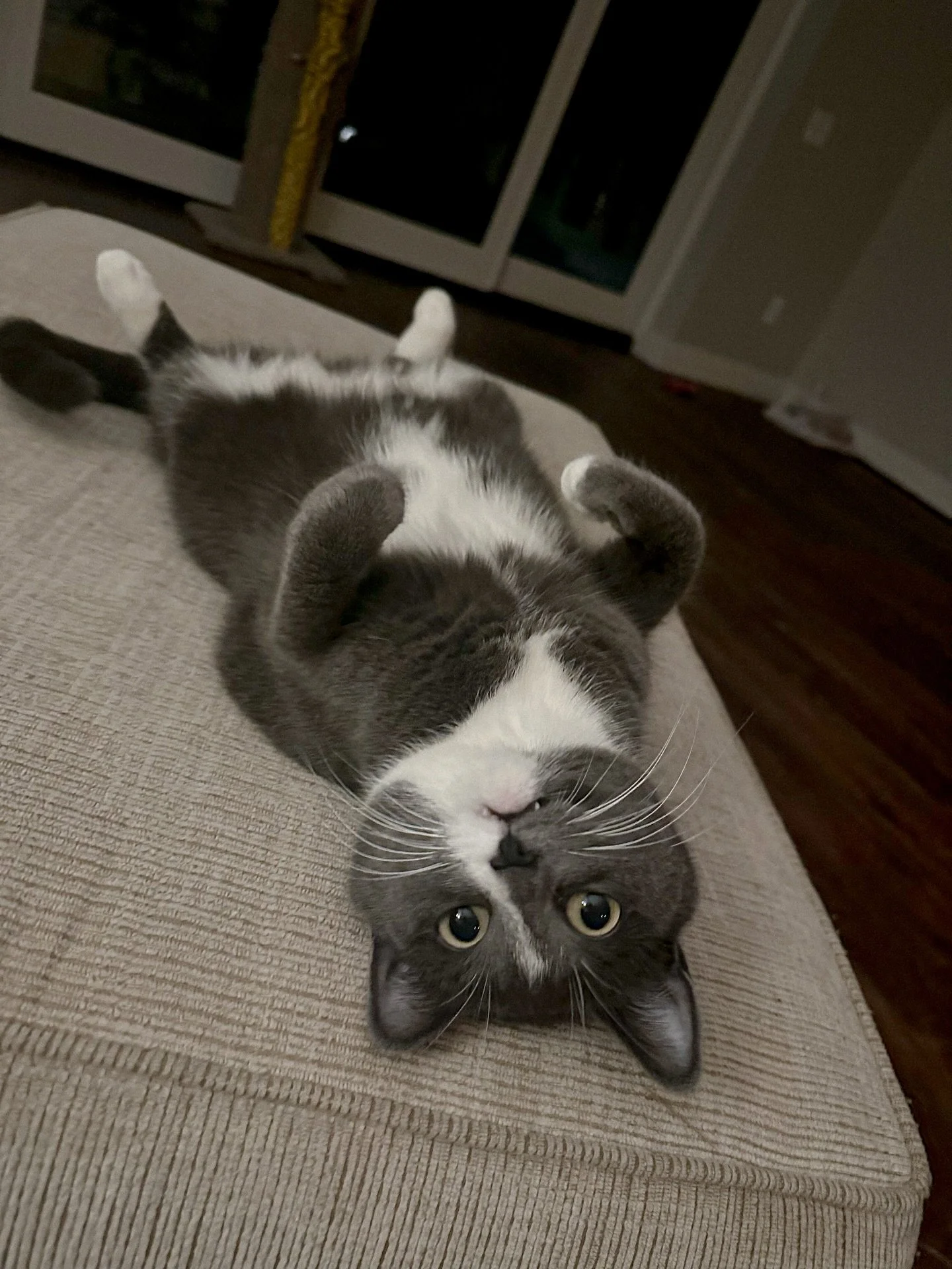 Daylight savings has us like&hellip;