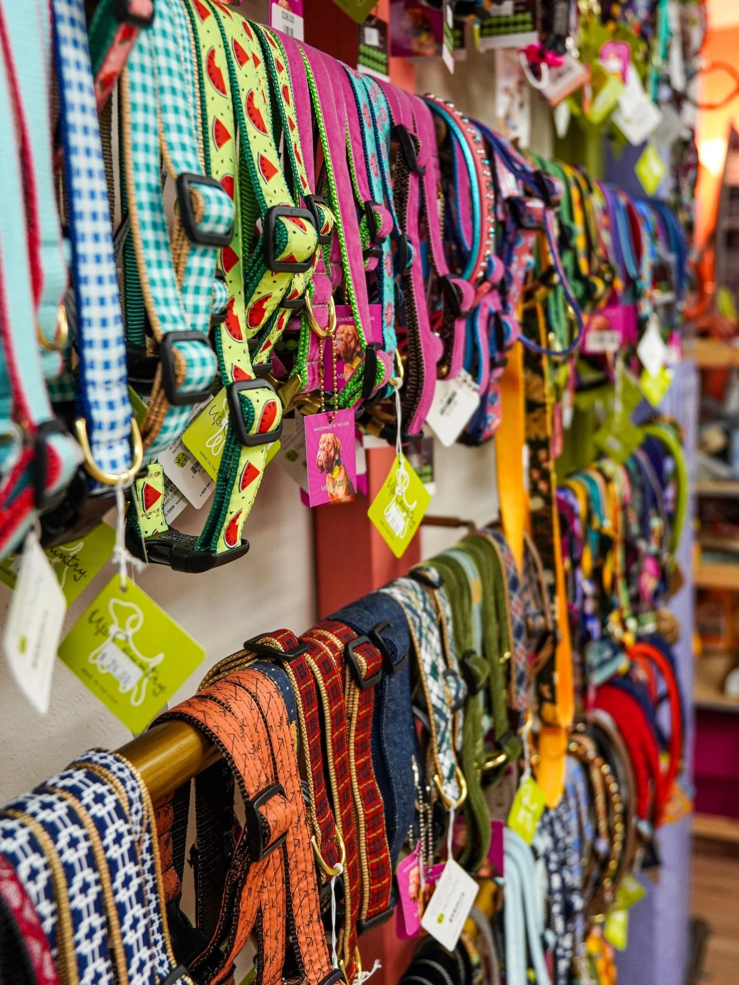 Every size, every color, every pattern. Because when it comes to collars and leashes, options are everything.✨

#ashvillenc #hendersonvillenc #dogofinstagram #dog #canine